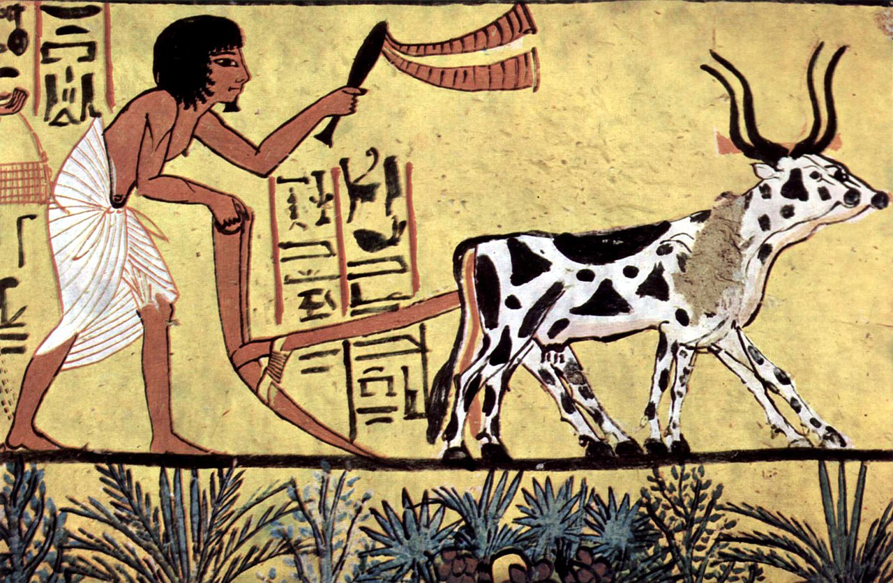 First Gardens: How Ancient Civilizations Grew Staple Vegetables